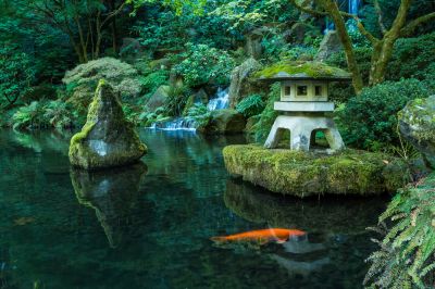 Japanese Garden - Garden Services Elk Grove, California