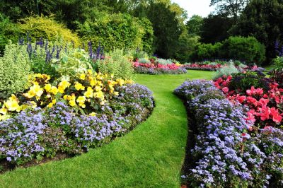 Flower Bed - Garden Services Elk Grove, California