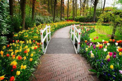 Garden Bridge - Garden Services Elk Grove, California