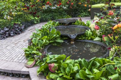 Garden Pond - Garden Services Elk Grove, California