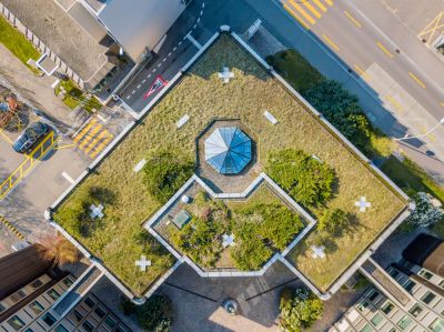 Green Roof - Garden Services Elk Grove, California