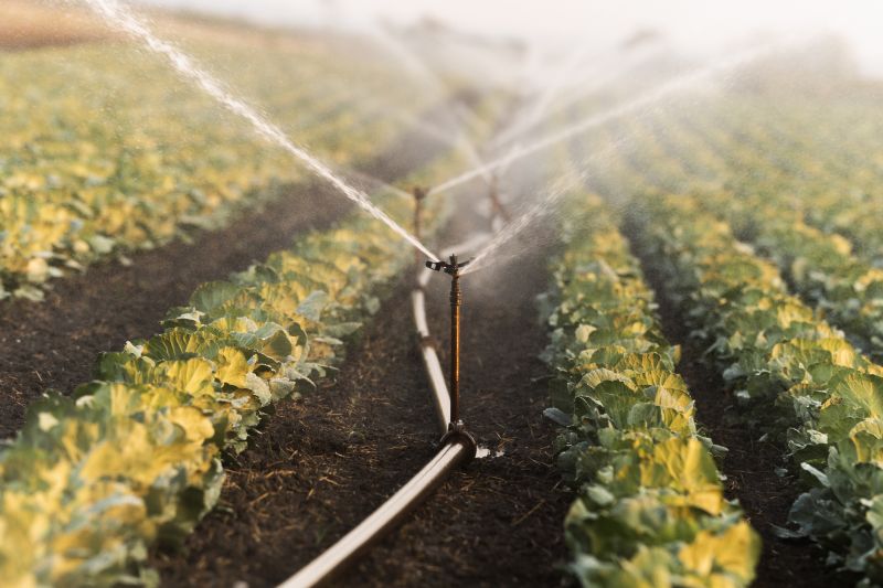 Irrigation System Costs
