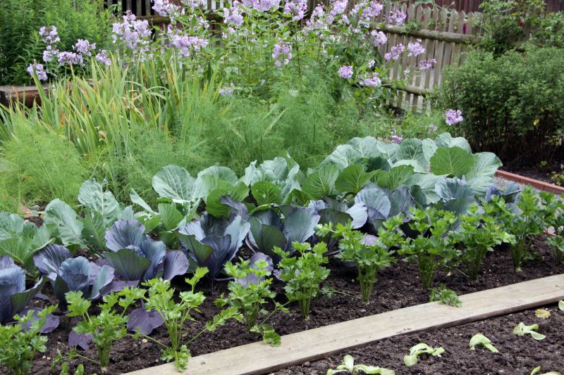 Vegetable Gardens