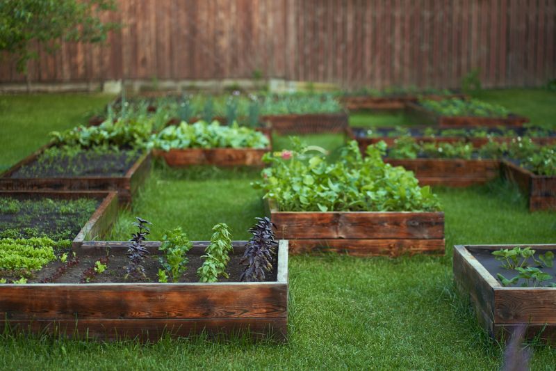 Vegetable Rows