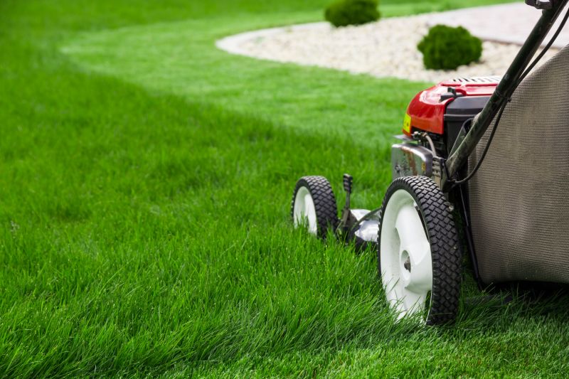 Lawn Landscaping