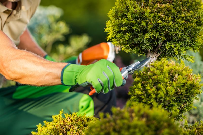 Professional Garden Care